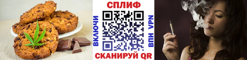 Купить где  Кизел  Canna-Cookies конопля 