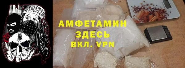 дмт Дмитров
