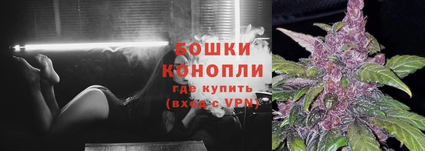 мяу мяу мука Горняк