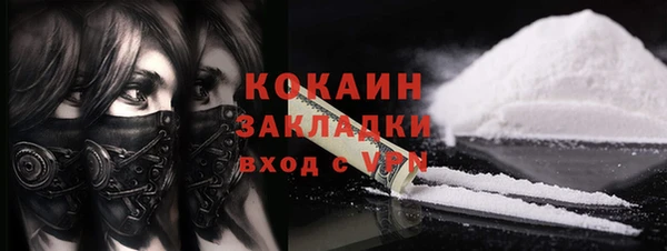 ECSTASY Гусь-Хрустальный