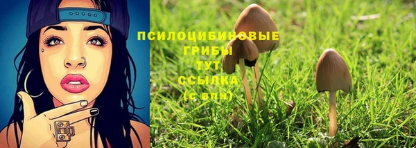 мяу мяу мука Горняк