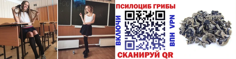 Купить Кизел Галлюциногенные грибы Magic Shrooms